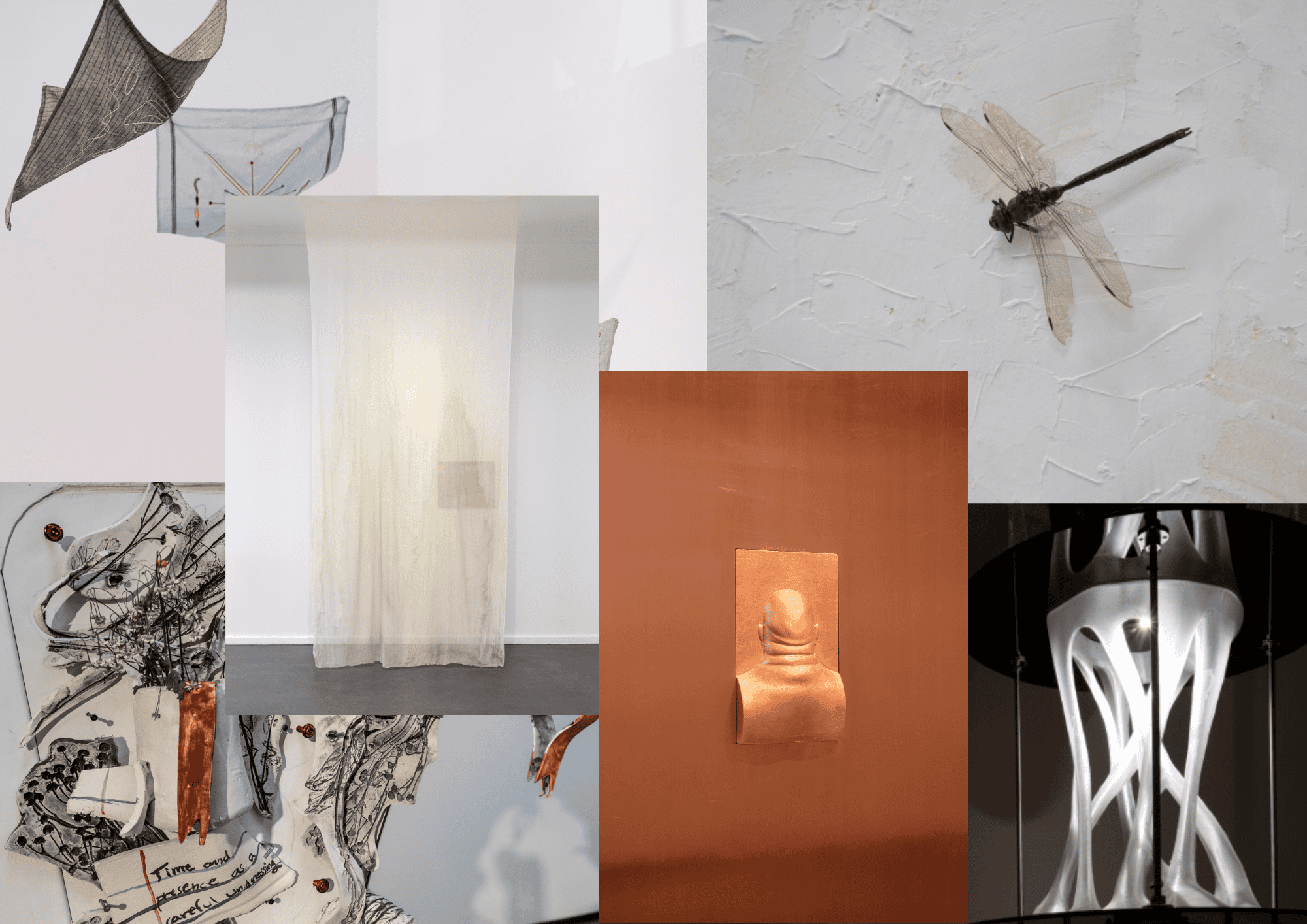 Finissage
